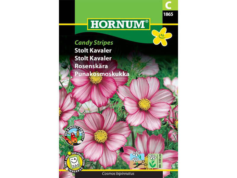 Frøpose med Stolt Kavaler, Candy Stripes blomster.