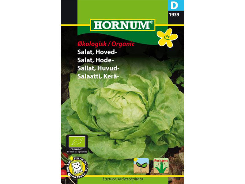 ØKO, Salat, Hoved-, Attraktion (D)
