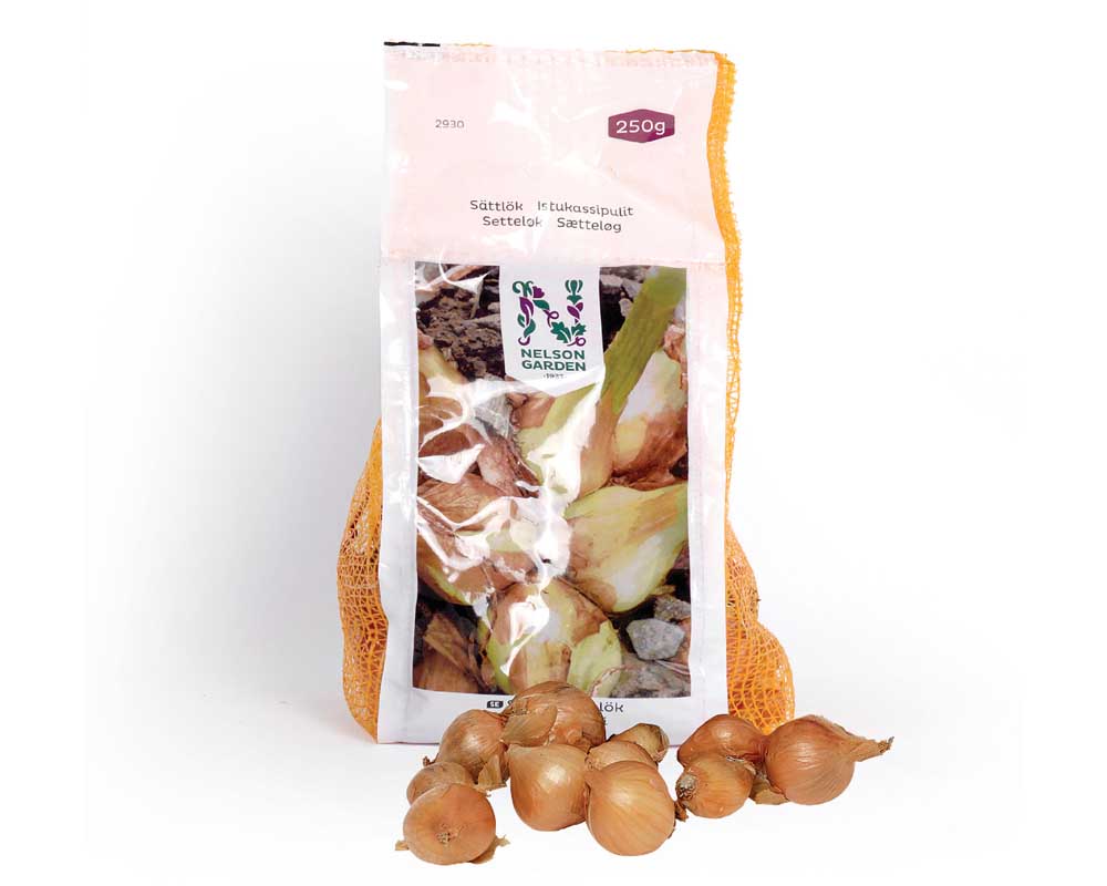 Sætteløg, Skalotteløg 7/13, pakke med 250g.