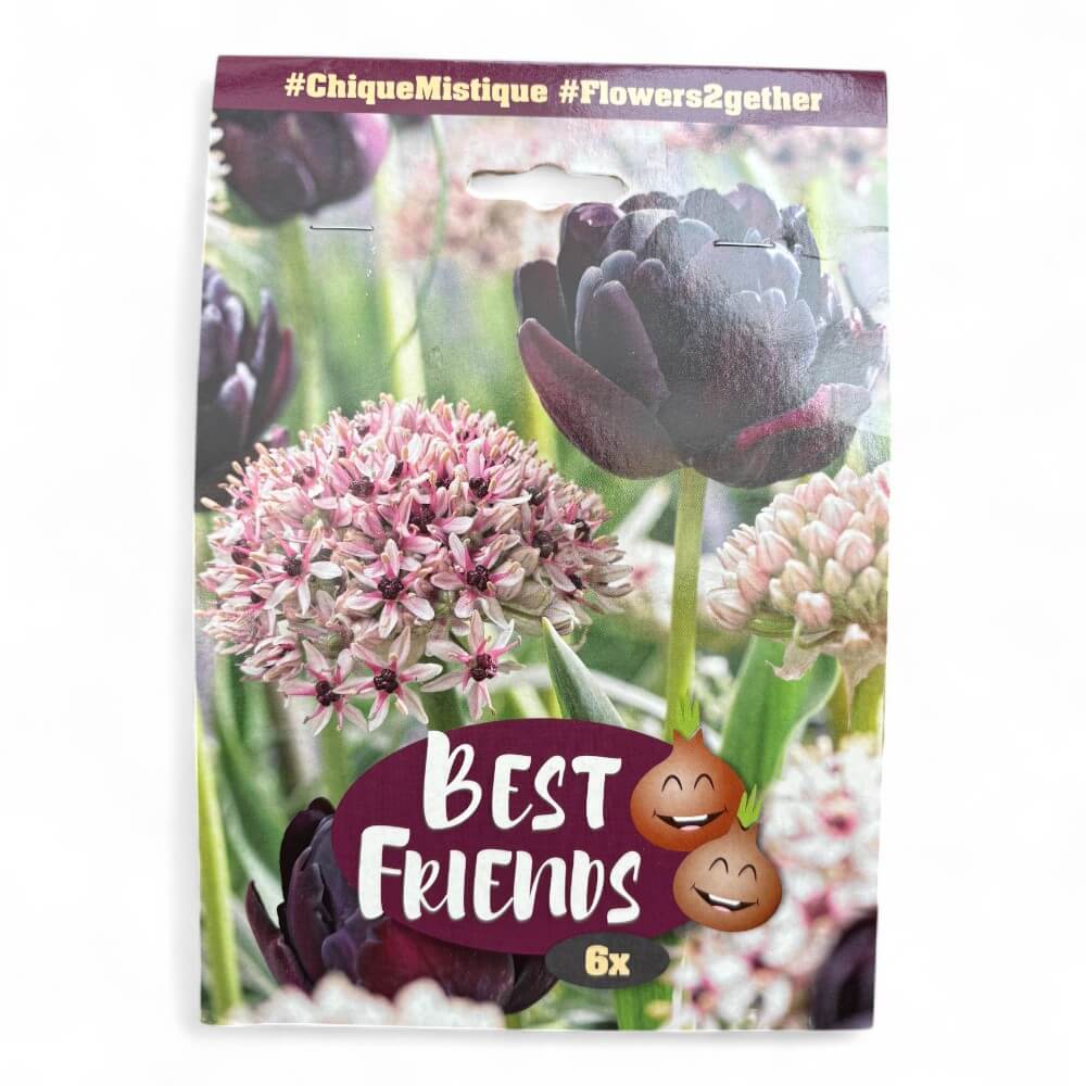 Blomsterløg mix - Chique Mistique, Best Friends - 4x Tulipan Canyon  2x Allium Starlight