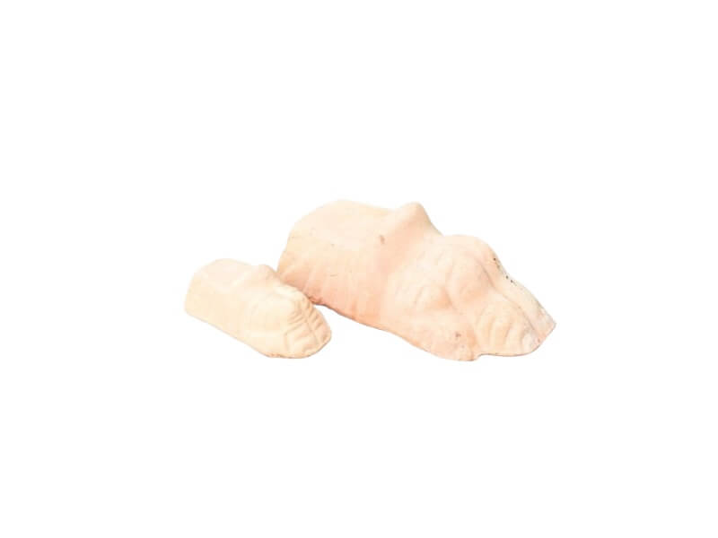 LION FEET - NATURA - LARGE - 10 cm