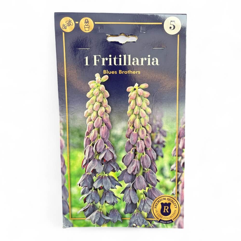 Vibeæg, Fritillaria Blues Brothers 18/20