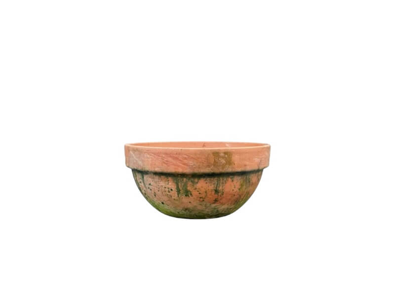Levi - Patina