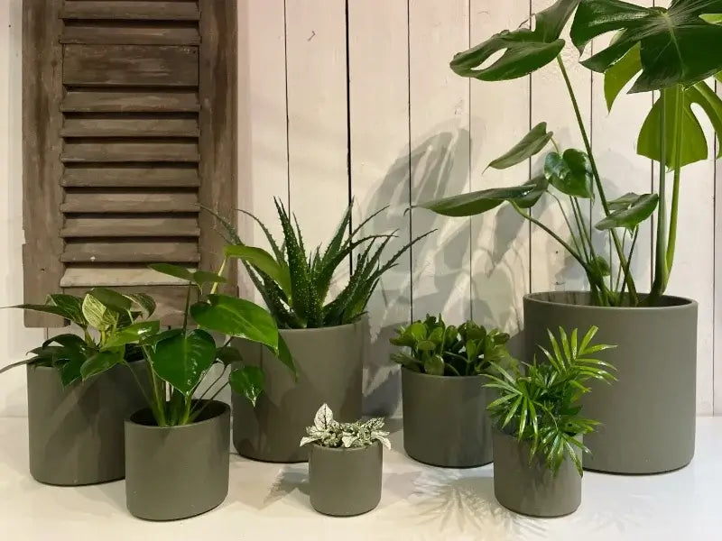 Era potte rund l. green sand - h13x15cm