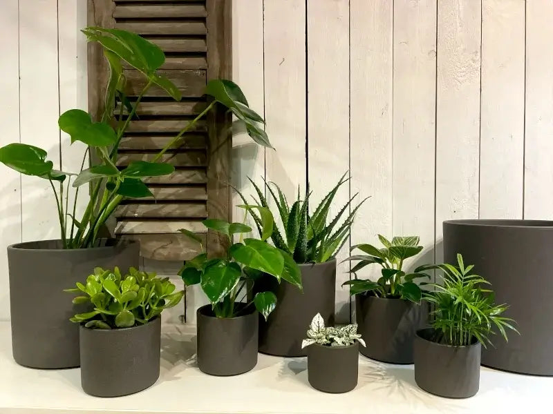 Era potte rund D. Grey Sand - H12,5Xd13,5Cm