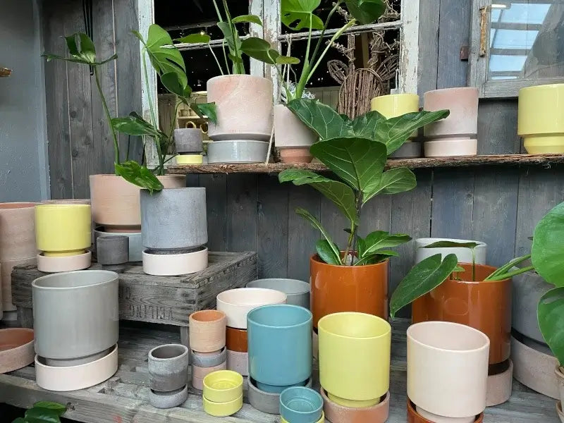 The Hoff pot potter fra Bergs Potter