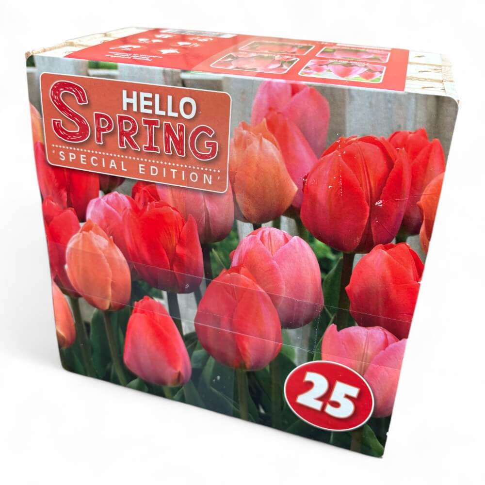Hello Spring! Red Mix