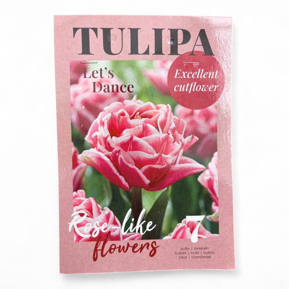 Tulipan, TULIPA LET'S DANCE