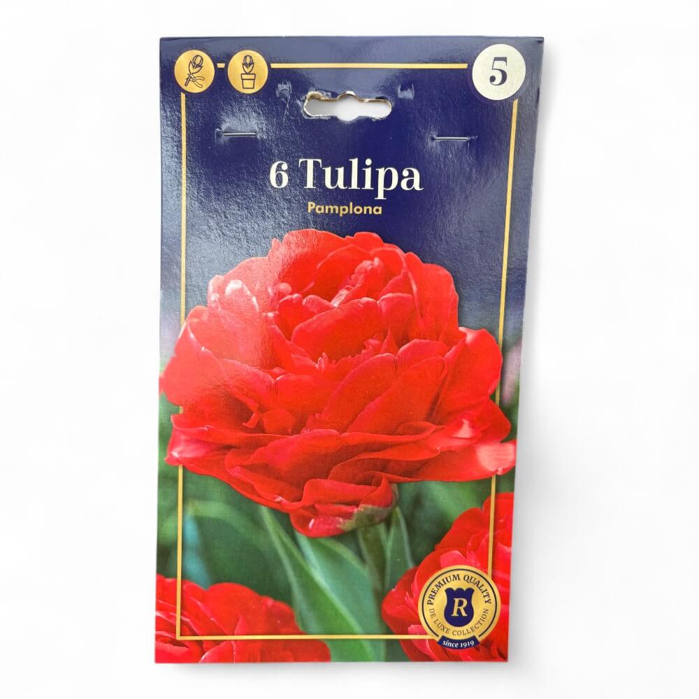 Tulipan, TULIPA DOUBLE EARLY Pamplona 12/+