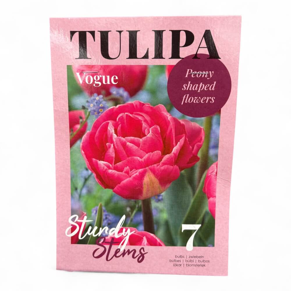 Tulipan, TULIPA VOQUE