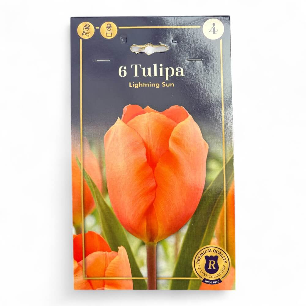 Tulipan 'Lightning Sun'