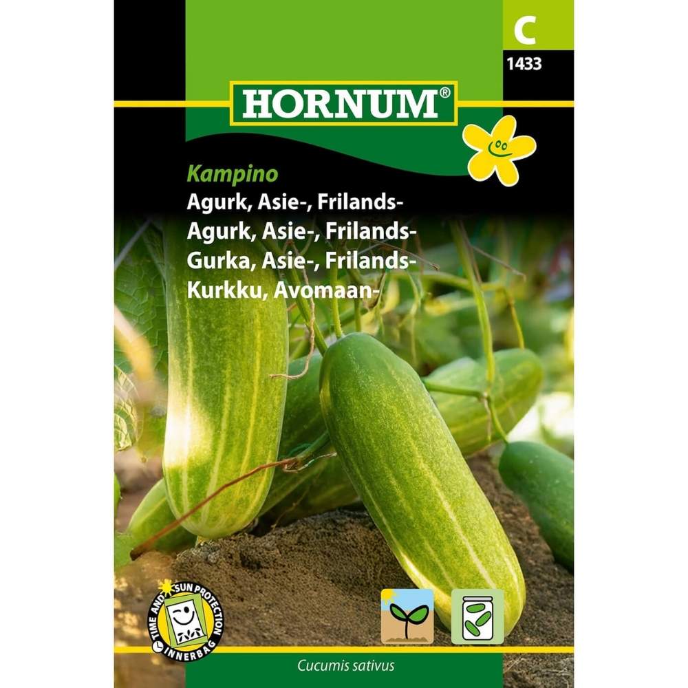 Agurk, Asie-, Frilands- (C)