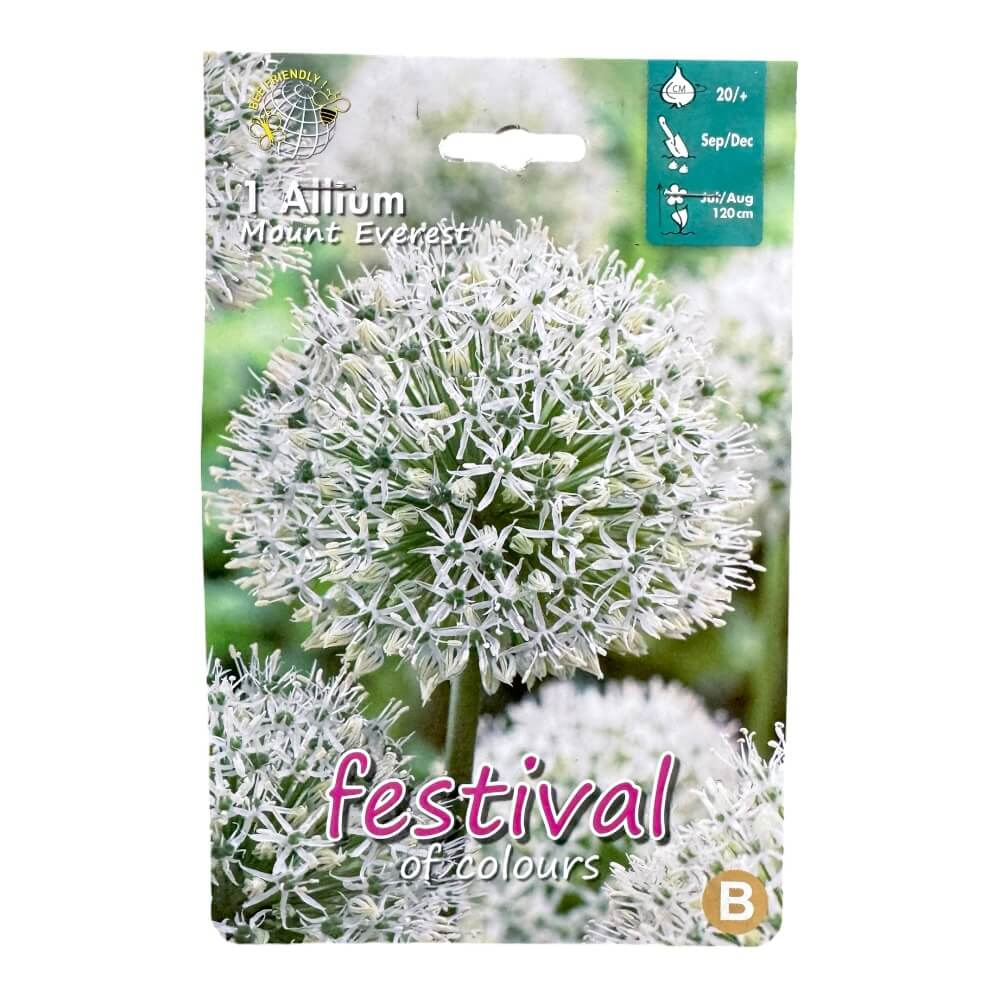 Prydløg, Allium ´Mount Everest´ - 1 stk.