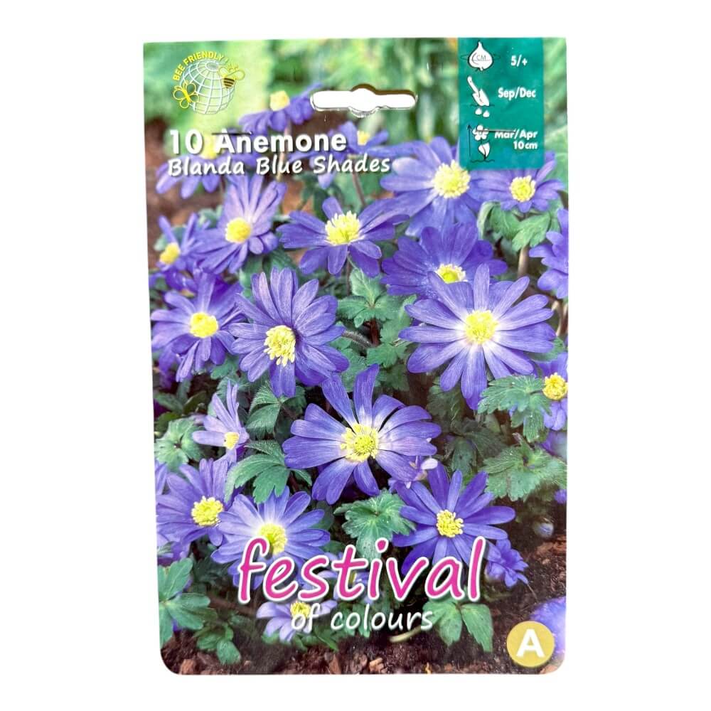 Anemoneløg, Anemone ´Blanda Blue Shades´ - 10 stk.