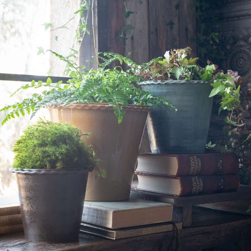 ANGELA Krukker med planter