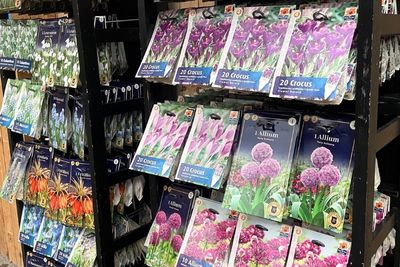 blomsterløg guides