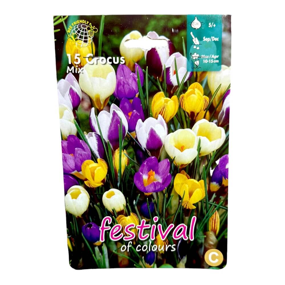 Krokusløg, Crocus ´Botanical´ Mixed - 15 stk.