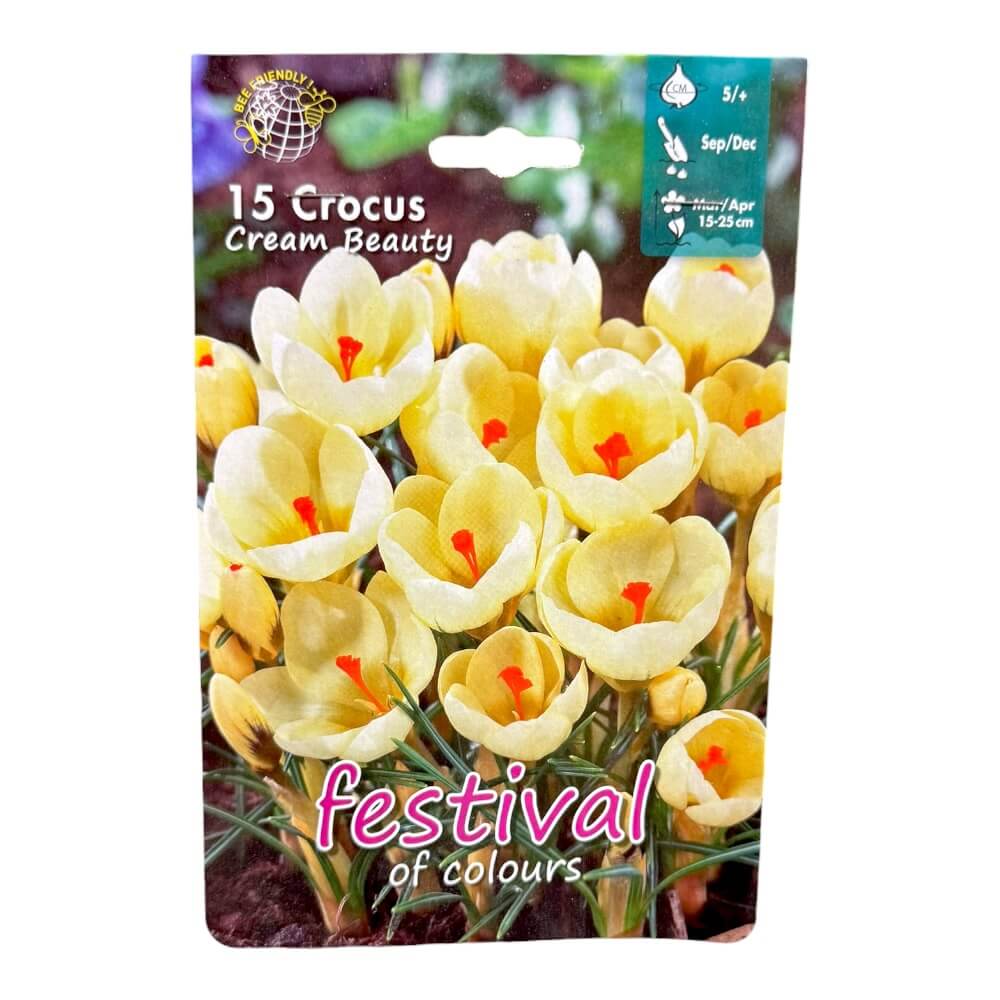 Krokusløg, Crocus ´Cream Beauty Chrys.´ - 15 stk.