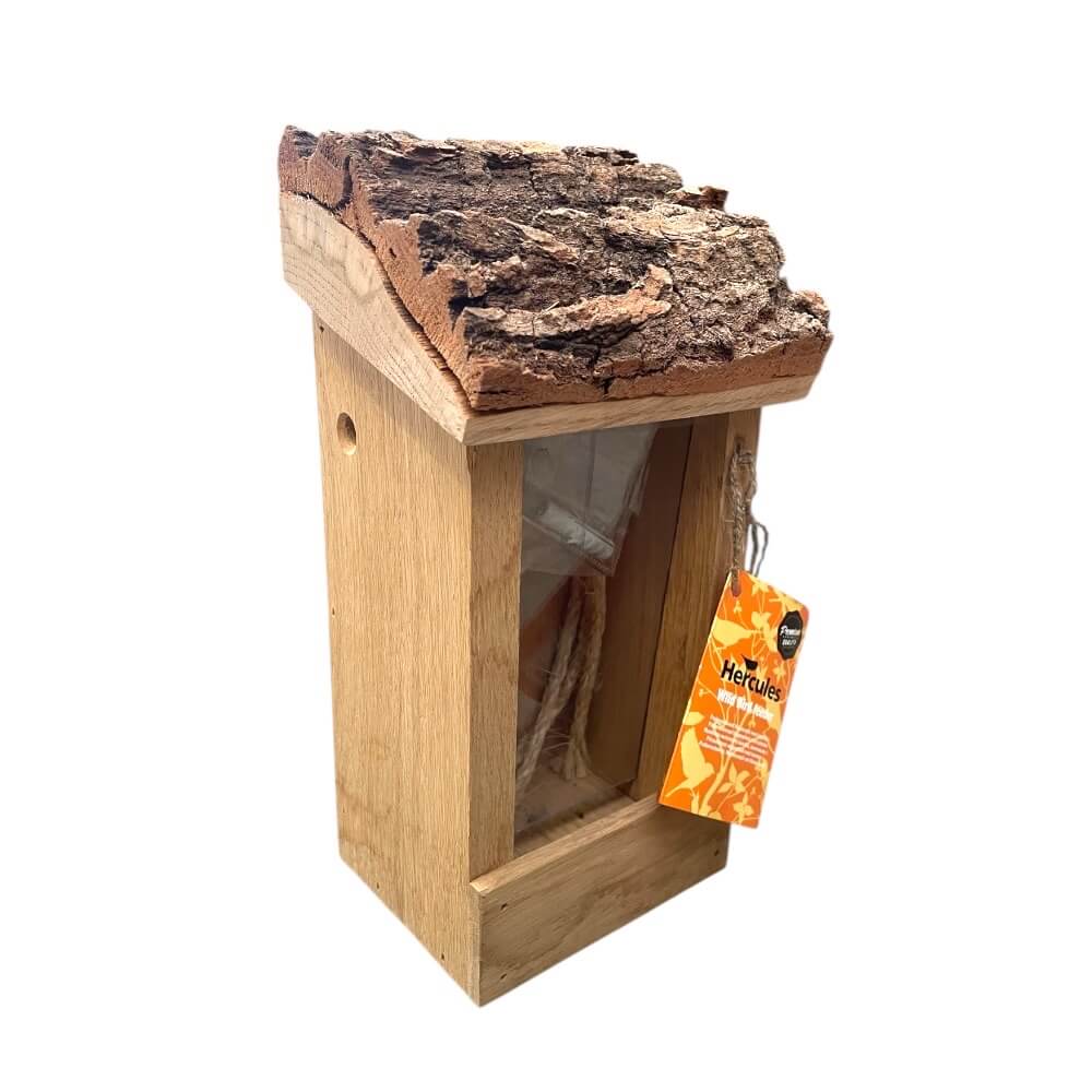 Foderautomat Vægmodel Eg - 14,5 x 26 x 15cm