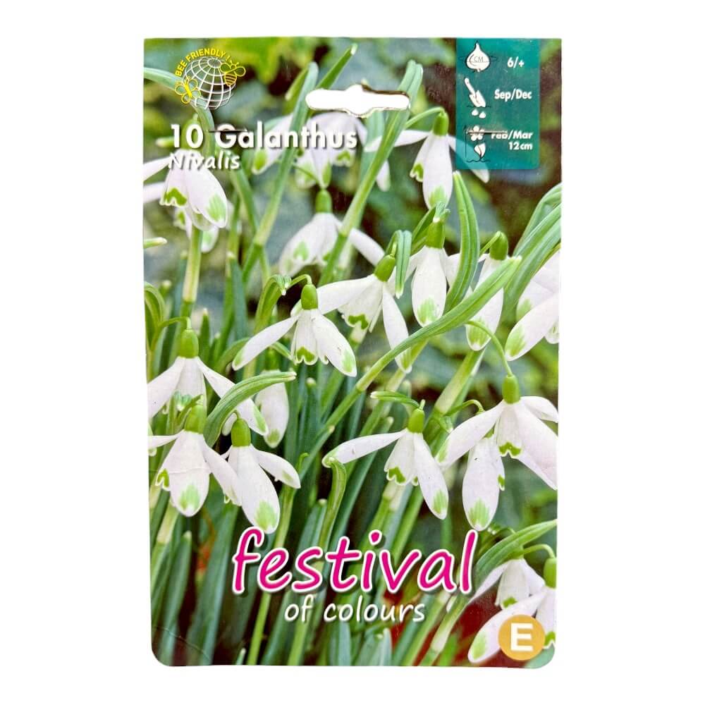 Vintergæk, Galanthus ´Nivalis´ - 10 stk. 