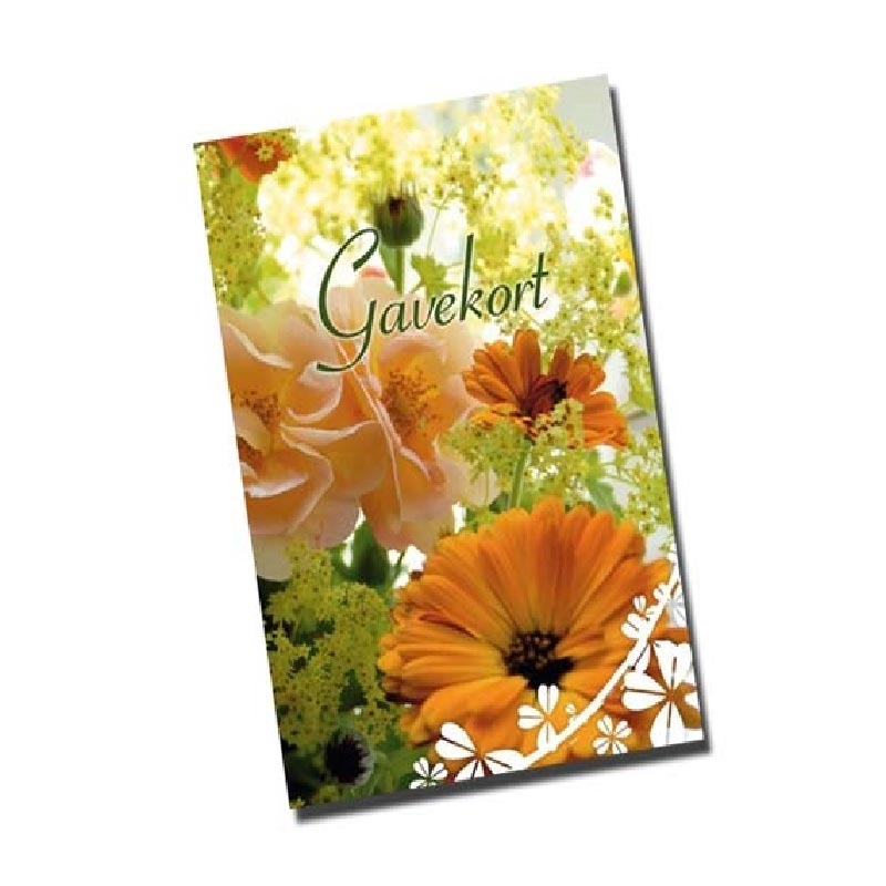 Gavekort - 100 Kr.