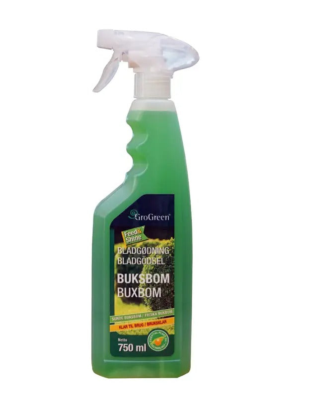 GroGreen Feed & Shine Buksbom - 750 ml