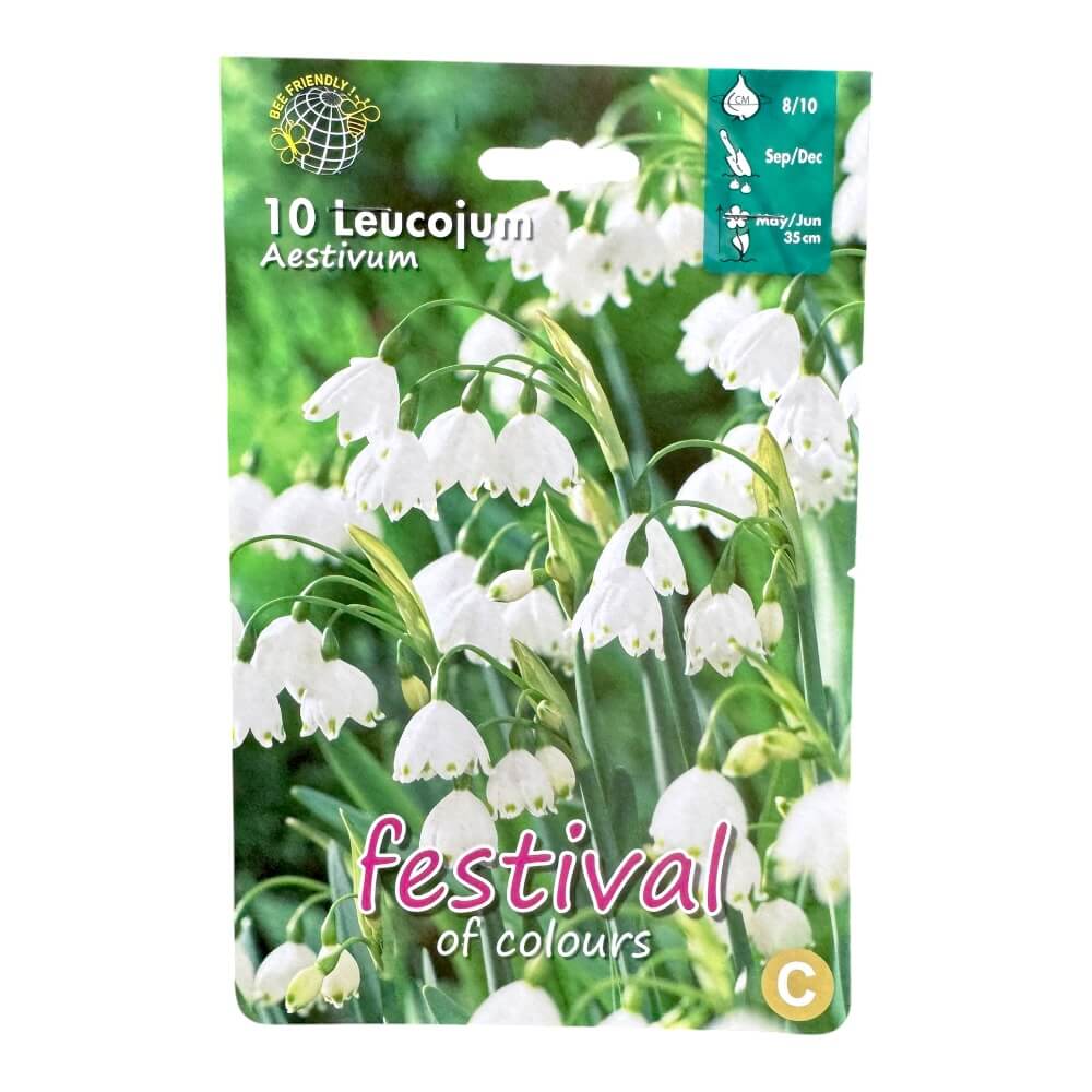 Sommer-sneflokeløg, Leucojum Aestivum - 10 stk.