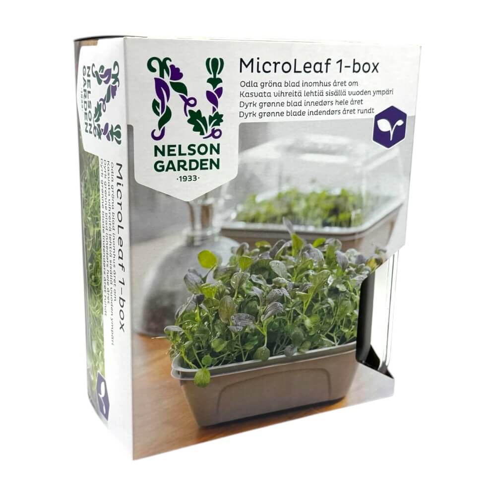 Micro Leaf 1-boks