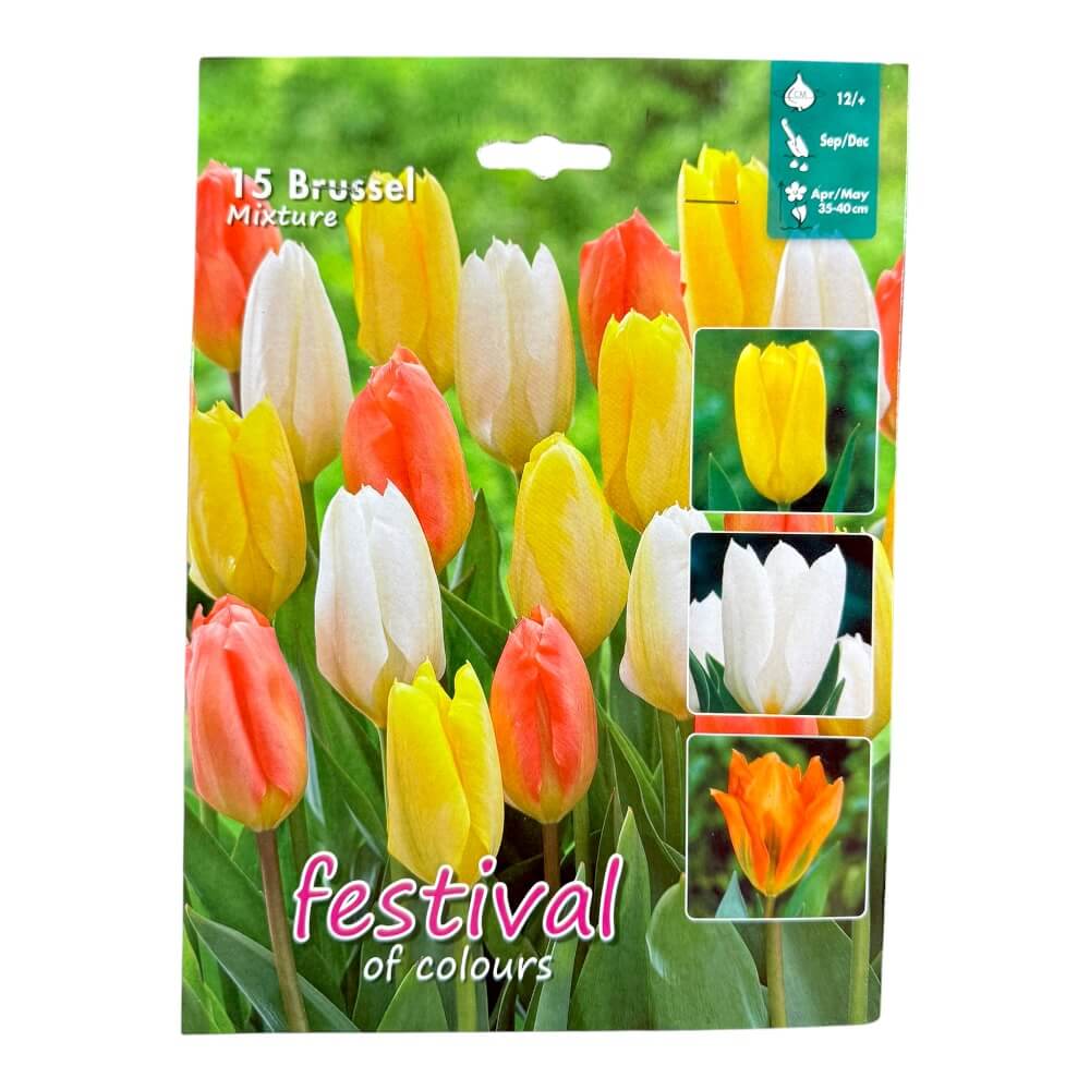 Tulipanløg, Mix ´Brussel´ - 15 stk.