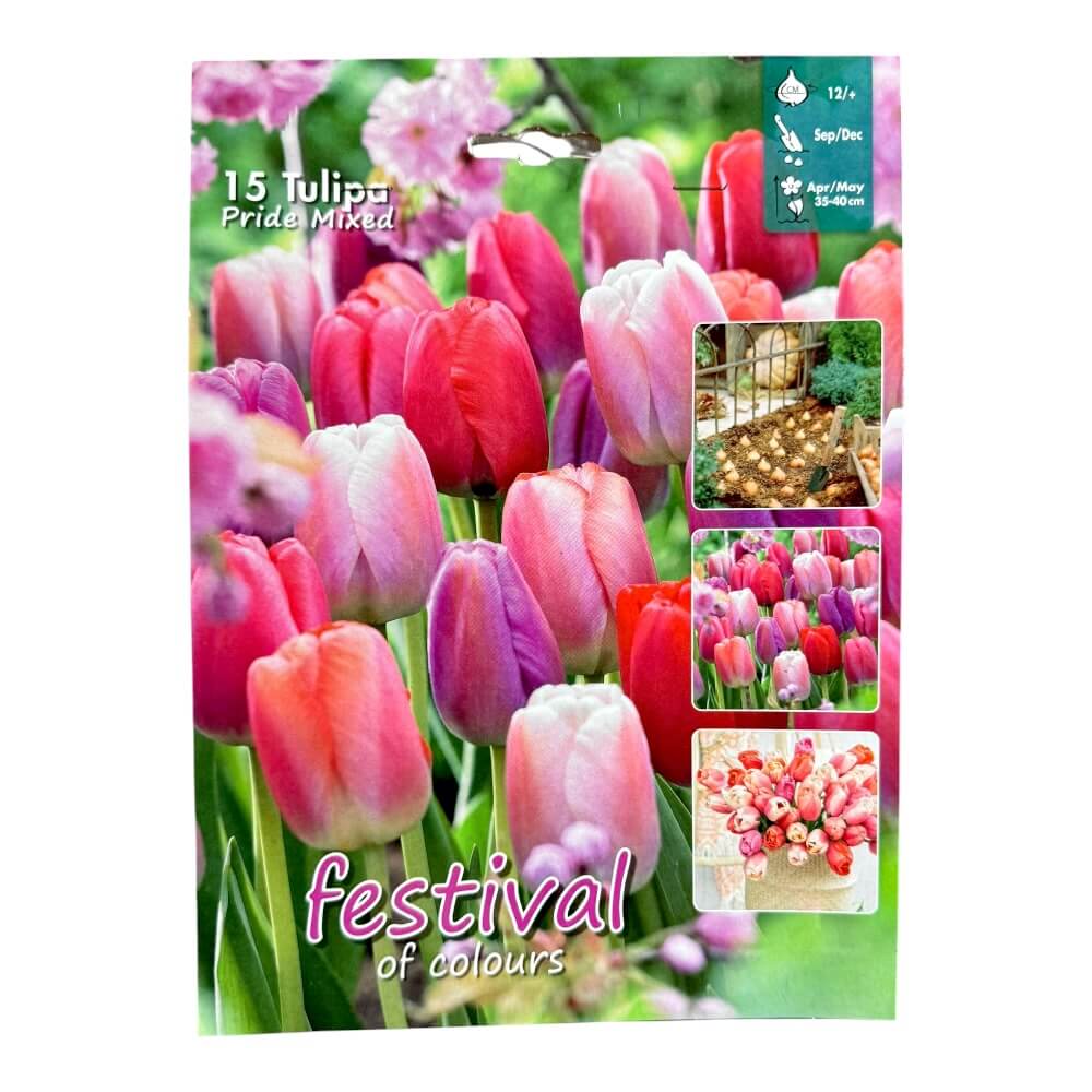 Tulipanløg, Mix ´Pride´ - 15 stk.