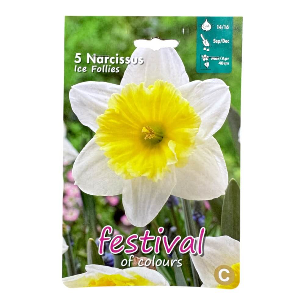 Påskelilje, Narcisses ´Ice Follies´ - 5 stk.