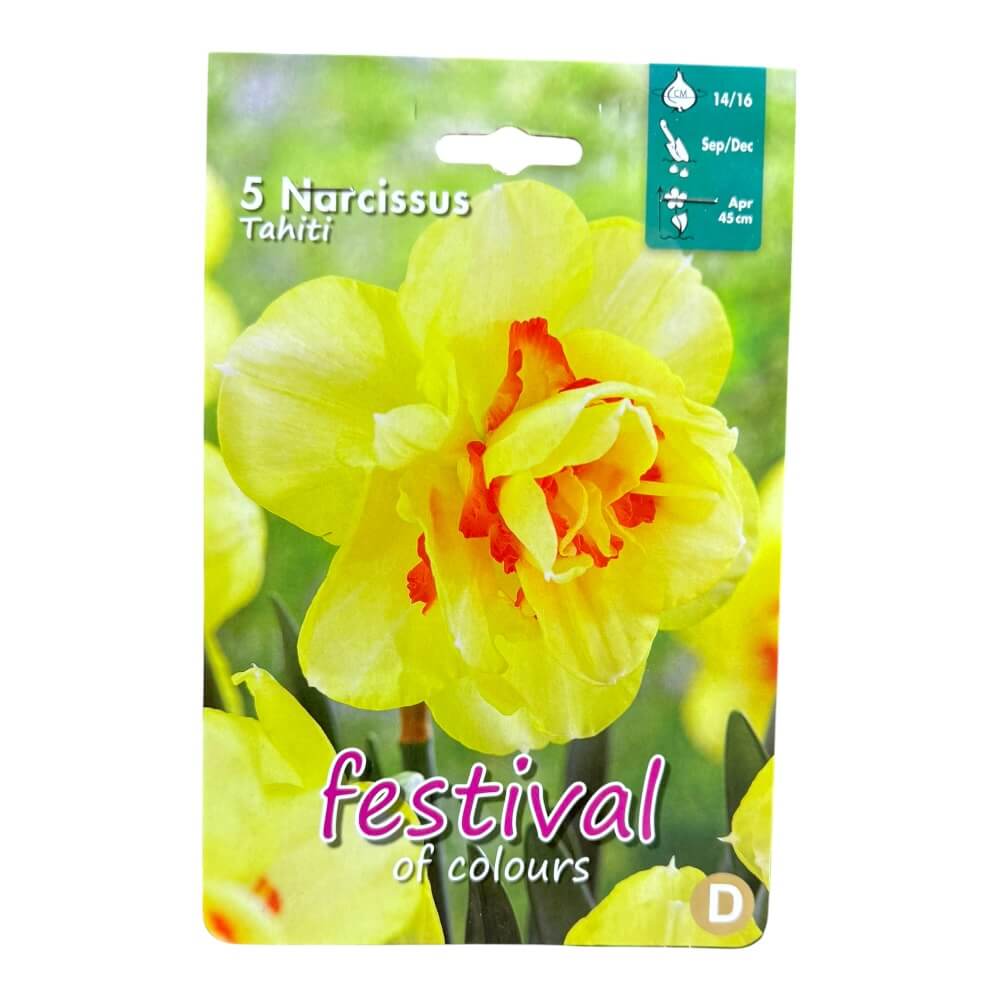 Påskeliljeløg, Narcissus 'Tahiti' - 5 stk.