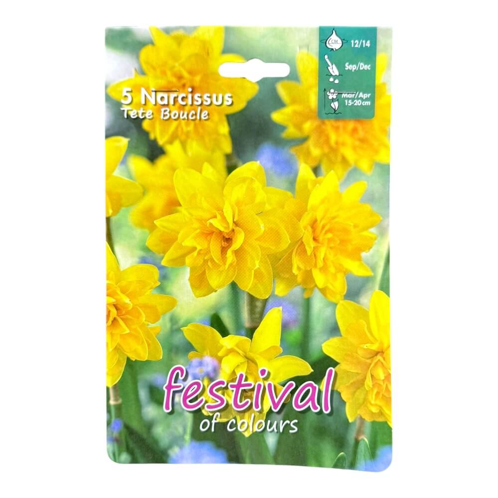 Påskeliljeløg, Narcisses ´Tete Boucle´ - 5 stk.