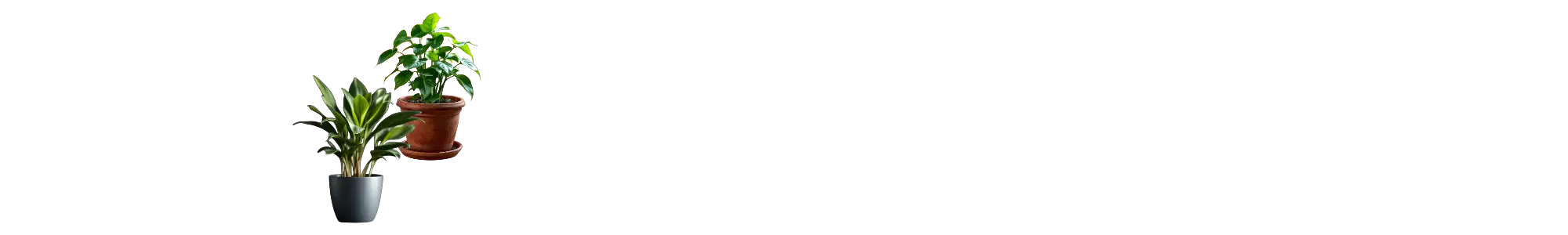 Tilmeld Hobby Havens nyhedsbrev