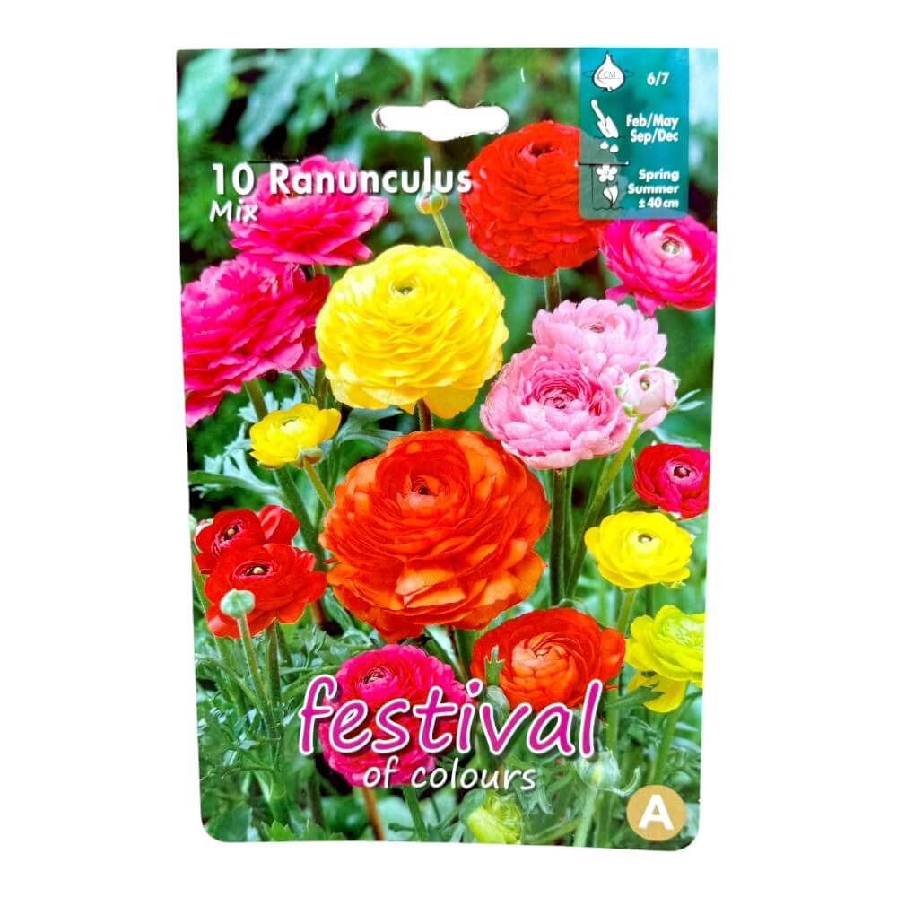 Ranunkel, Ranunculus Mixed - 10 stk.