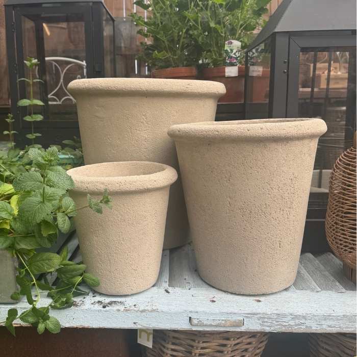 Rose potter, raw cement 