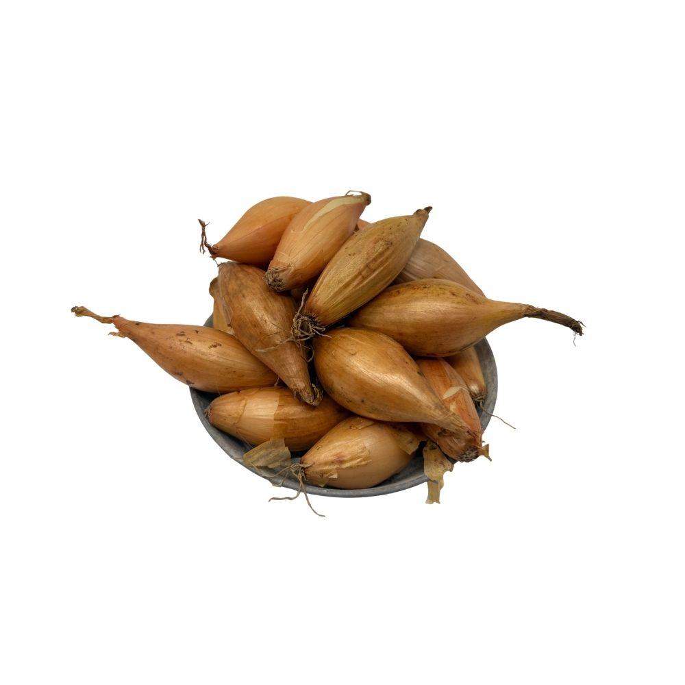 Sætteløg -  Birnformige, Bananløg - 250g