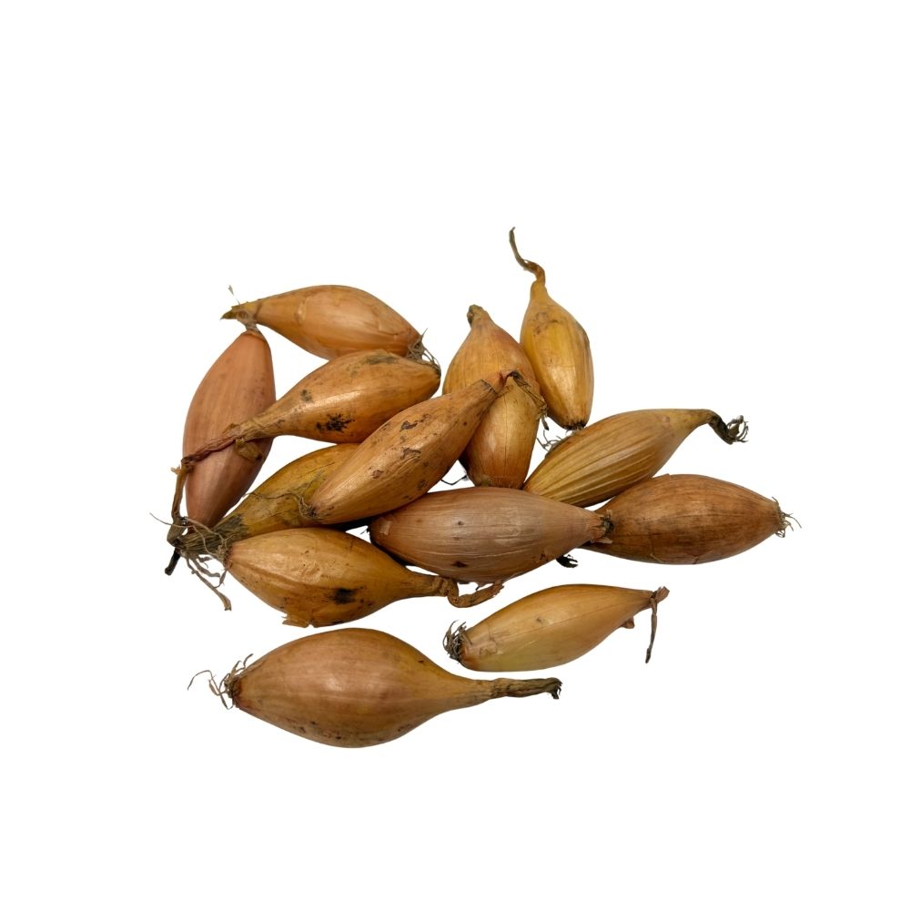 Sætteløg -  Birnformige, Bananløg - 250g