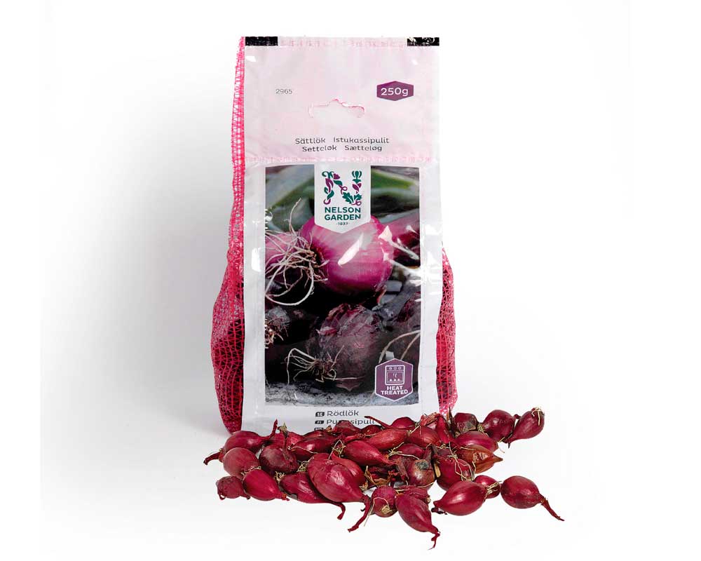 Sætteløg, Rødløg - 250 g - til haven.