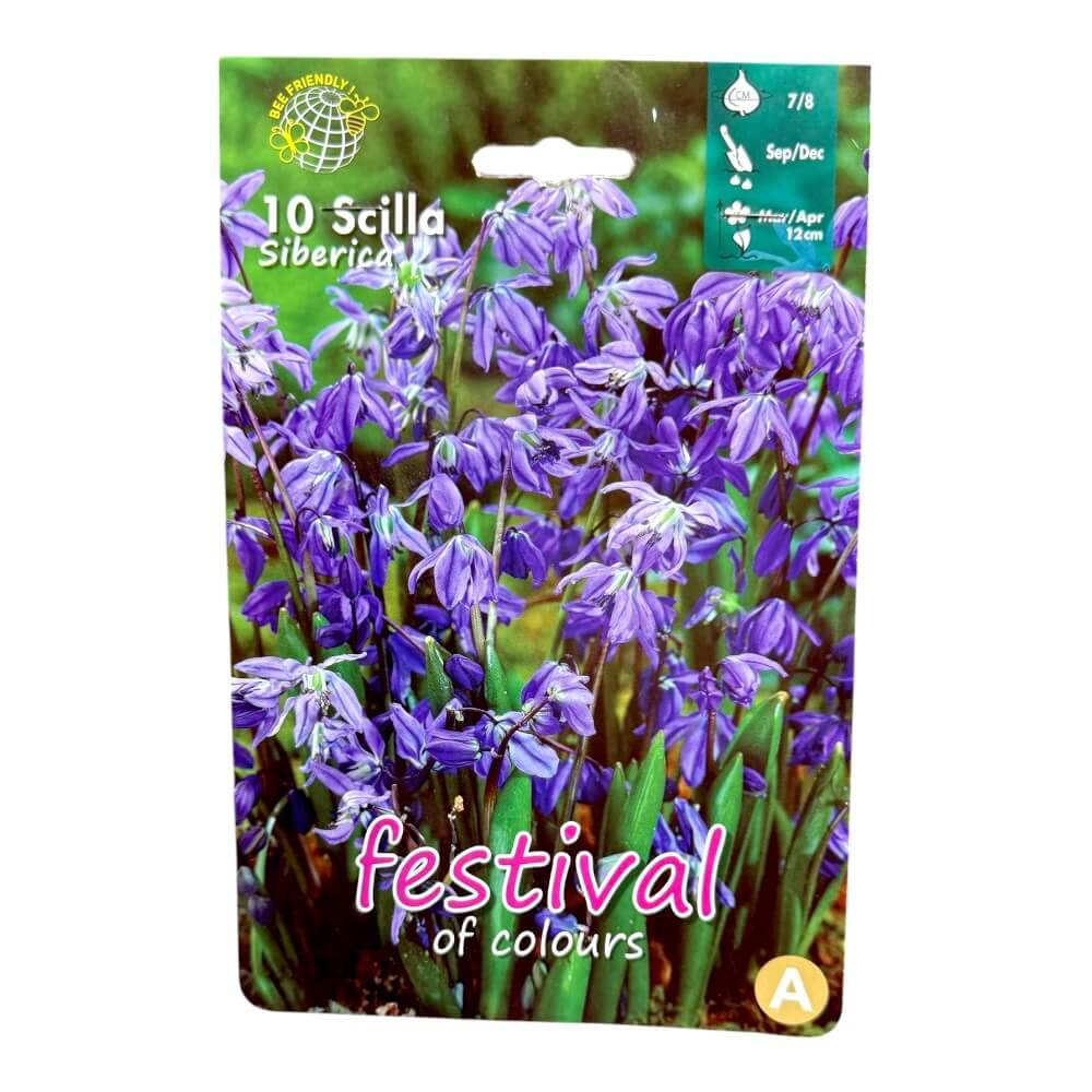 Skillaløg, Scilla ´Siberica´ - 10 stk.