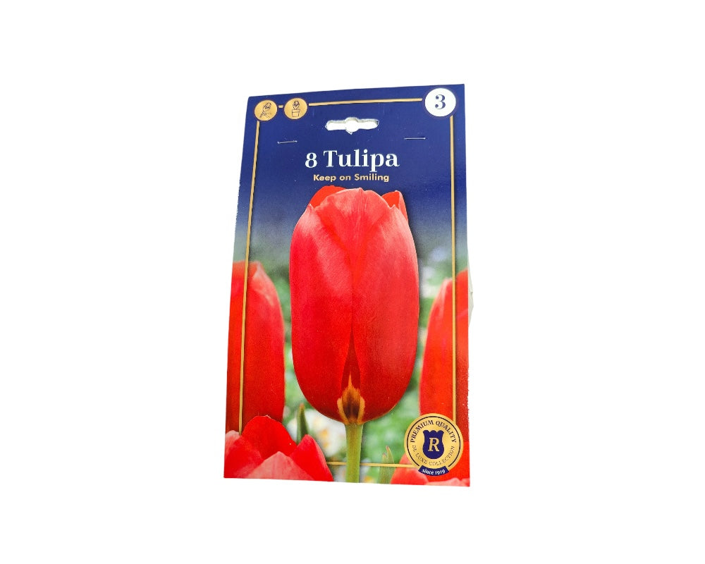 Tulipanløg, Tulipa Single Late Keep On Smiling til haven.