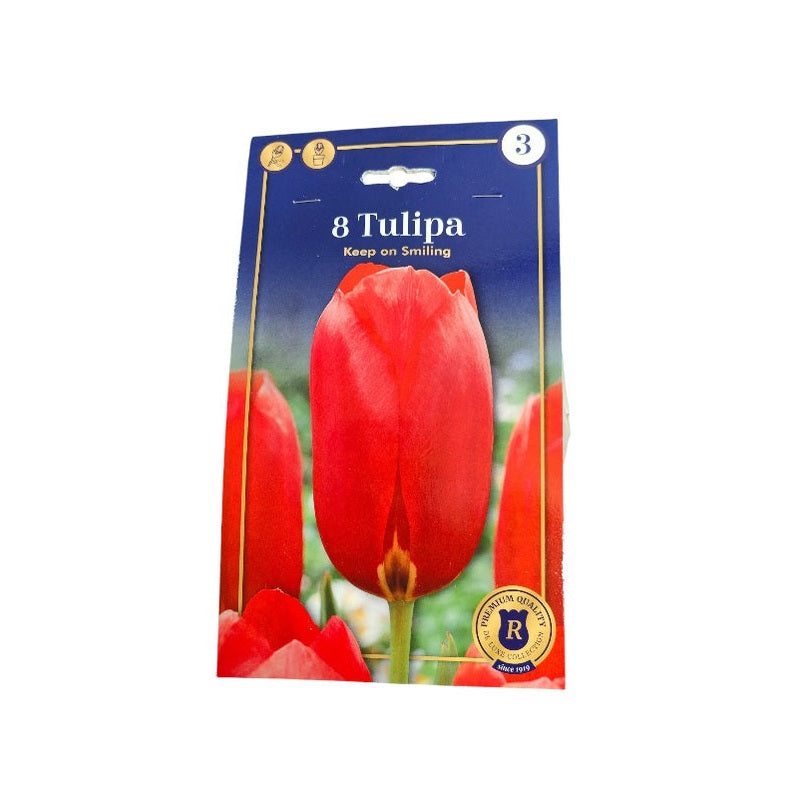 Tulipanløg, Tulipa Single Late Keep On Smiling til haven.