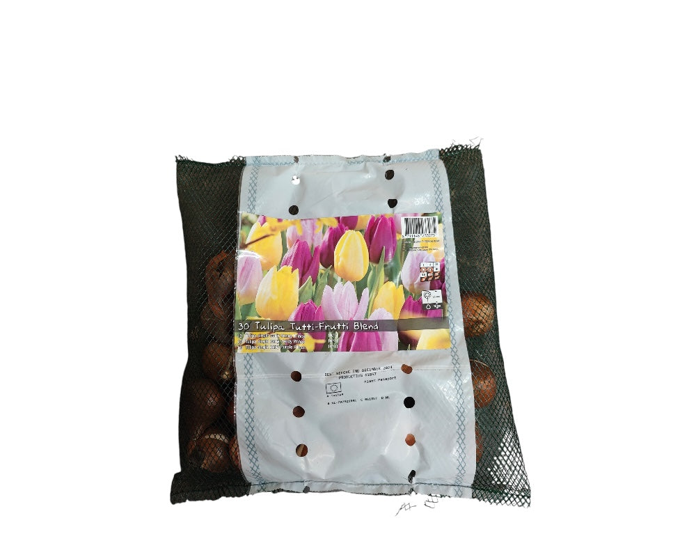 Tulipanløg, Tulipa Tutti-Frutti Blend - blomsterløg til haven.