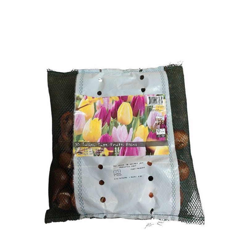 Tulipanløg, Tulipa Tutti-Frutti Blend - blomsterløg til haven.
