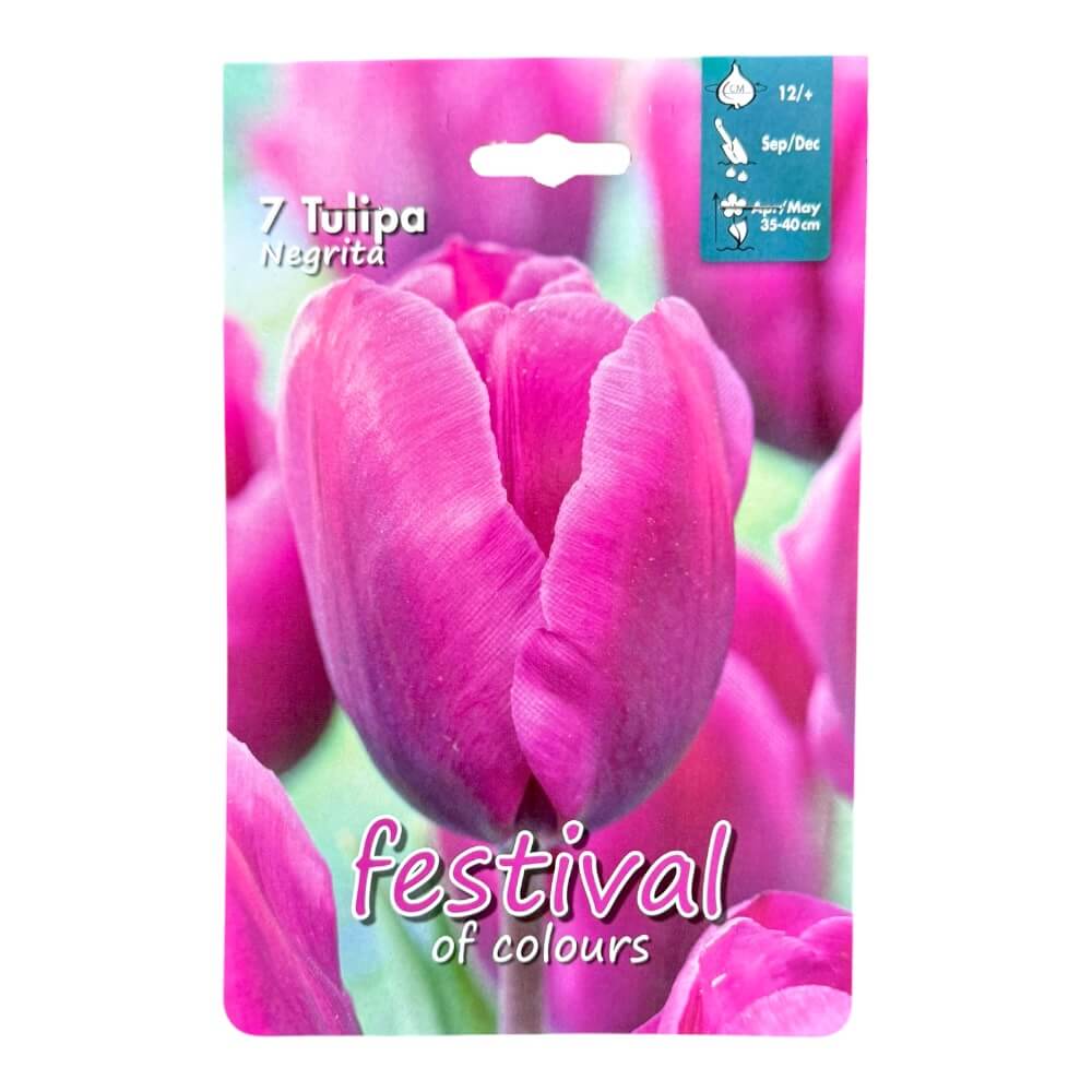 Tulipanløg, Tulipa ´Negrita´ - 7 stk.