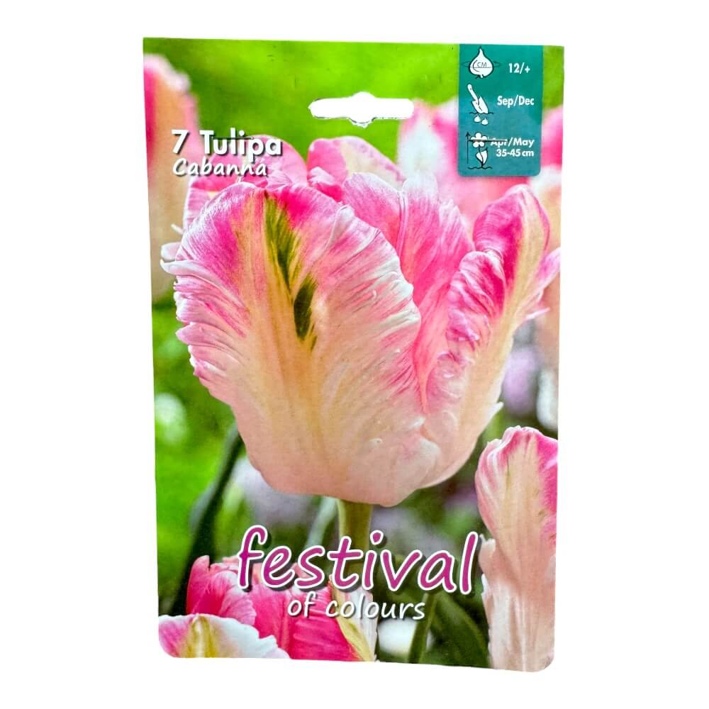 Tulipanløg, Tulipa ´Cabanna´ - 7 stk.