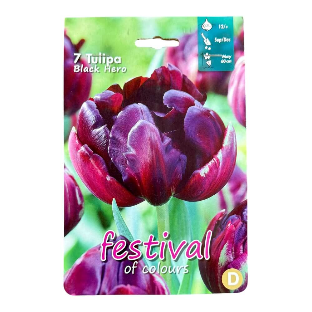 Tulipanløg, Tulips ´Black Hero´ - 7 stk.