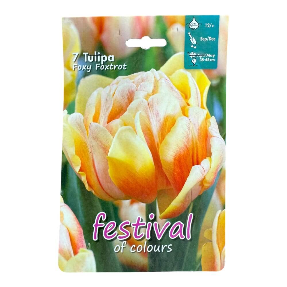Tulipanløg, Tulips ´Foxy Foxtrot´ - 7 stk. 