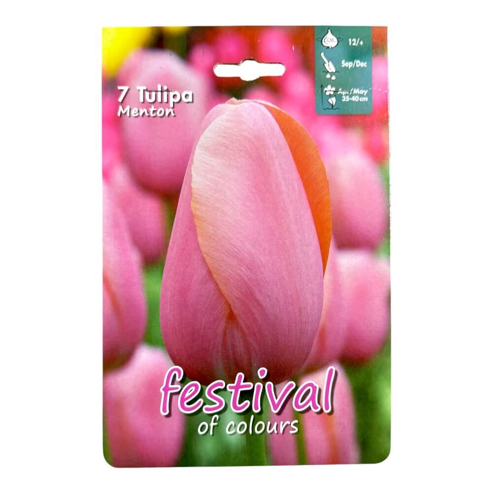 Tulipanløg, Tulips ´Menton´ - 7 stk.