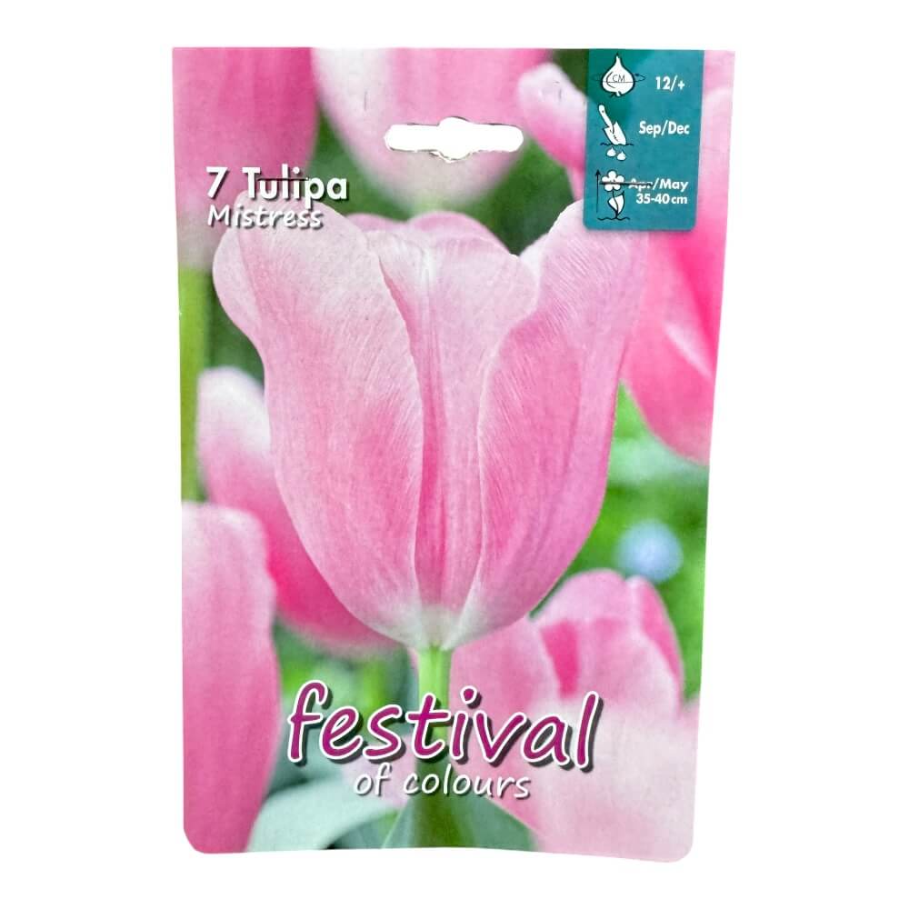 Tulipanløg, Tulips ´Mistress´ - 7 stk.